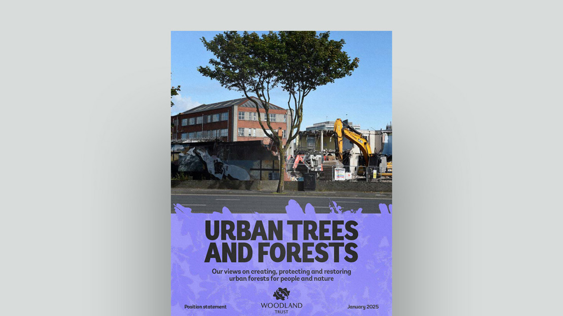 Urban trees and forests Position Statement document cover Urban trees and forests Position Statement document cover
