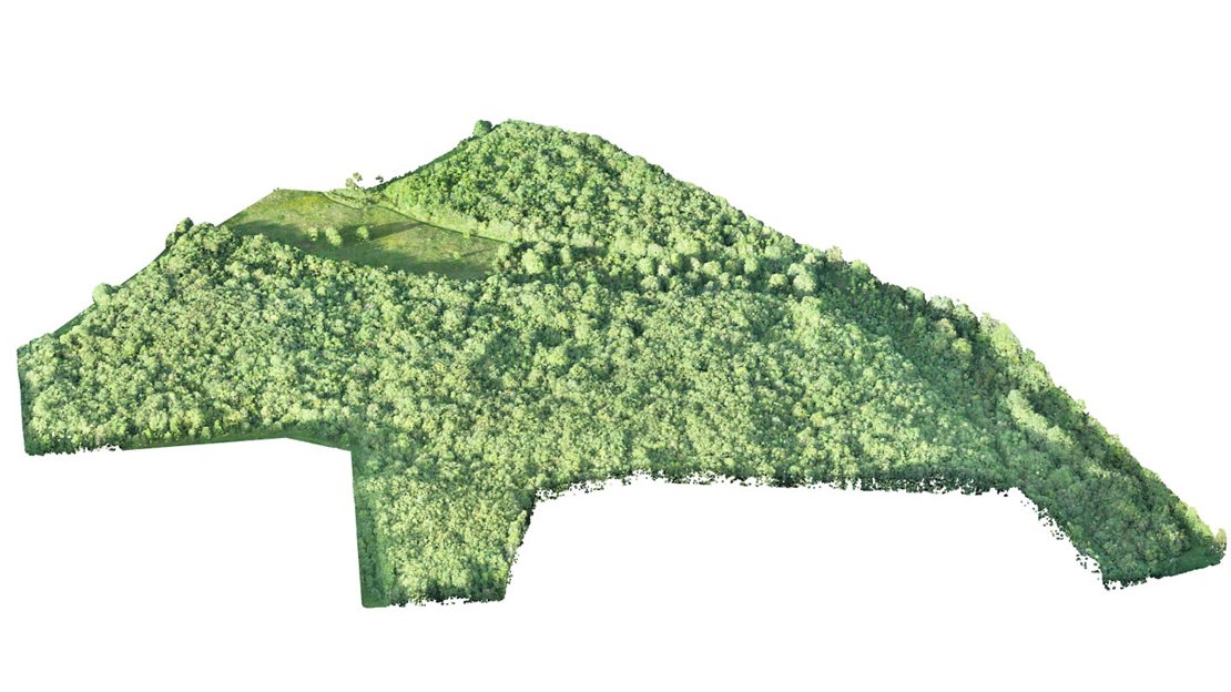 LiDAR scan of woodland creation at Hucking