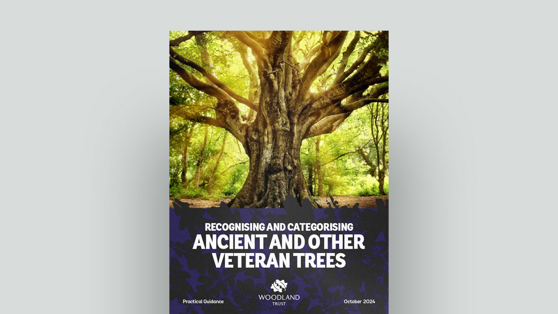 Recognising And Categorising Ancient And Other Veteran Trees Document Cover