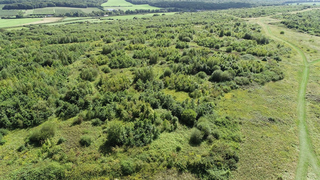 Aerial view of Victory Wood, hybrid approach to woodland creation.