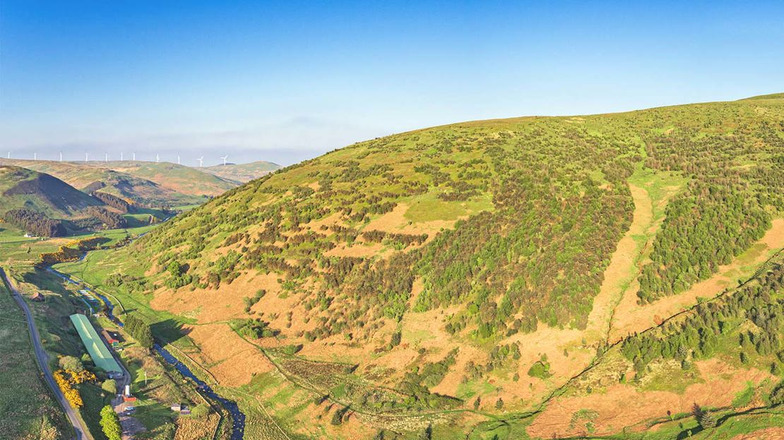 Wooded hillside with small river running through valley.