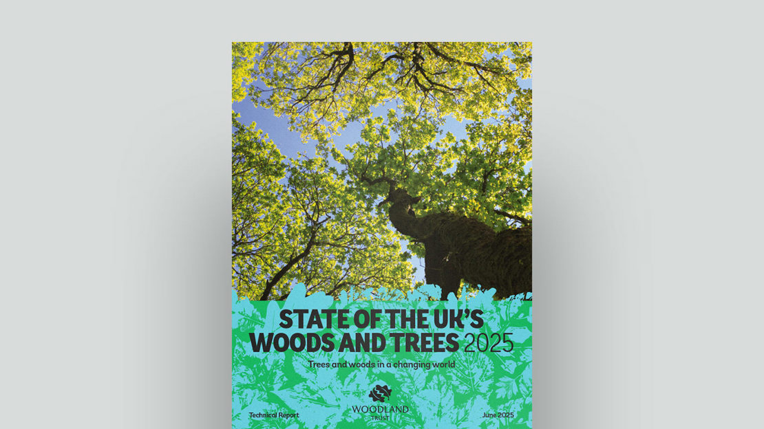 State of the UK’s Woods and Trees 2025 document cover State of the UK’s Woods and Trees 2025 document cover