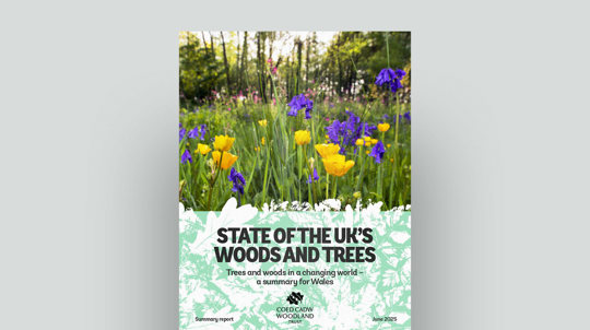 State Of The UK’S Woods And Trees 2025 Wales Document Cover