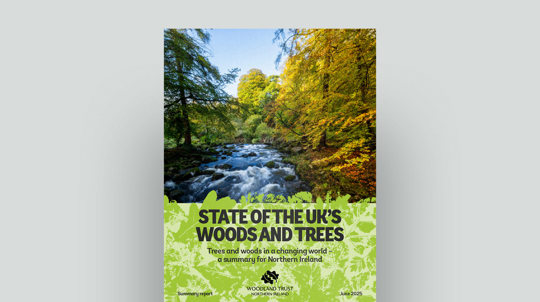 State Of The UK’S Woods And Trees 2025 Northern Ireland Document Cover