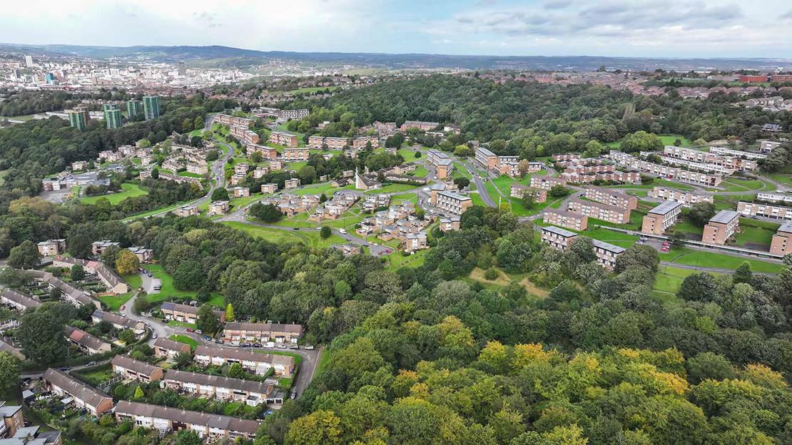 Aerial shot of woodland weaving between residential city housing.
