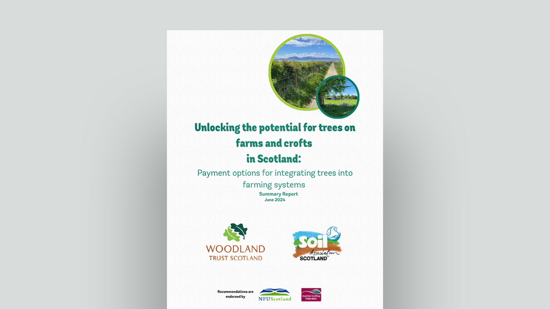 Unlocking The Potential For Trees & Crofts In Scotland Document Cover Unlocking The Potential For Trees & Crofts In Scotland Document Cover