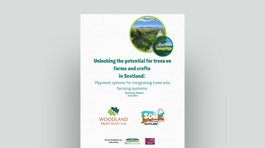 Unlocking The Potential For Trees & Crofts In Scotland Document Cover