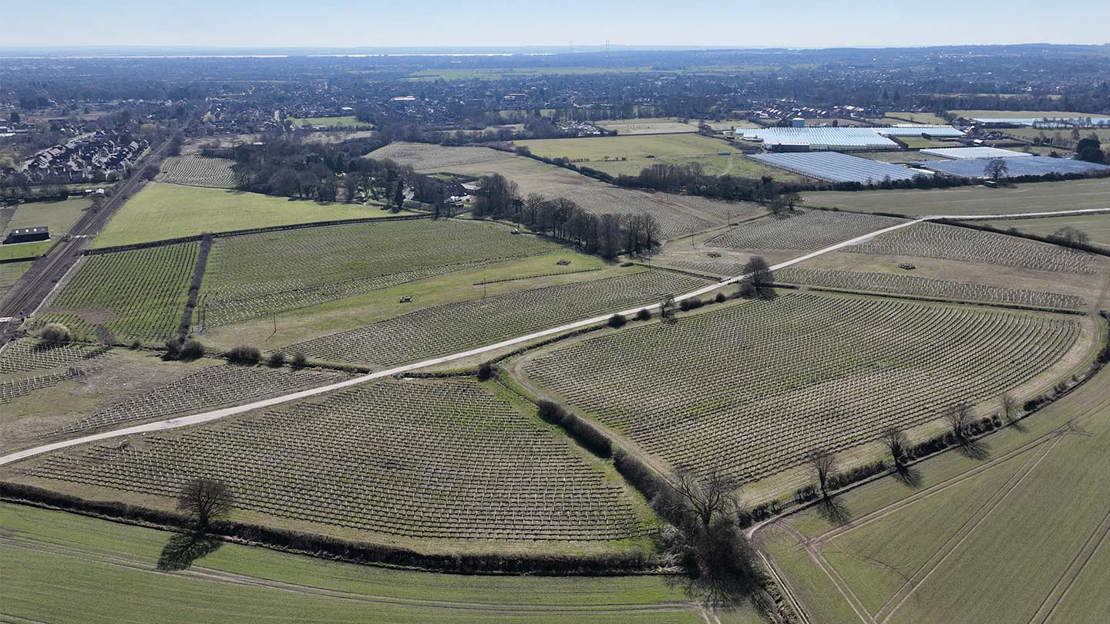 Drone shot of arable fields in flat landscape.
