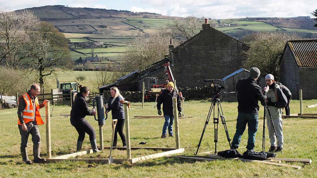 People installing wooden posts in field.