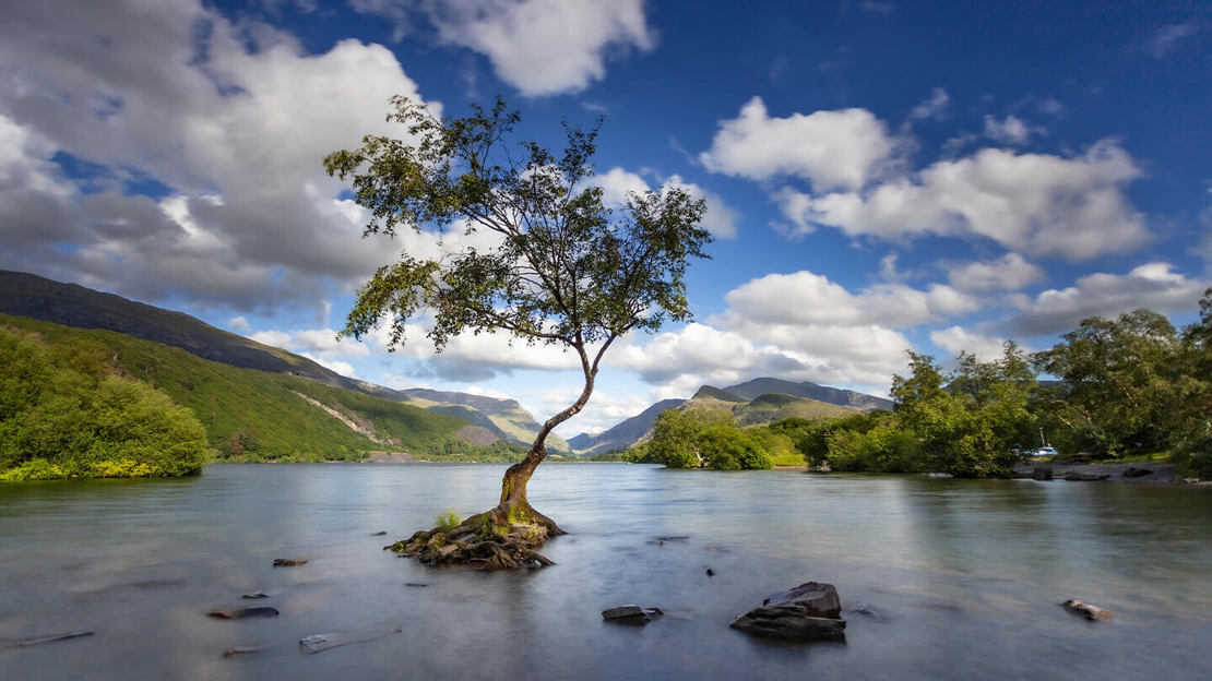 A small twisted tree growing on from a rocky outcrop in a vast lake surrounded by mountains