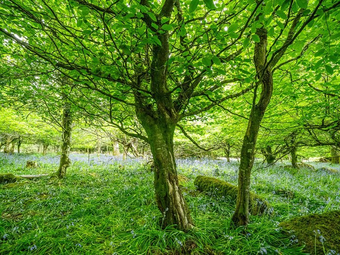 Umbraco.Cms.Infrastructure.PublishedCache.Property