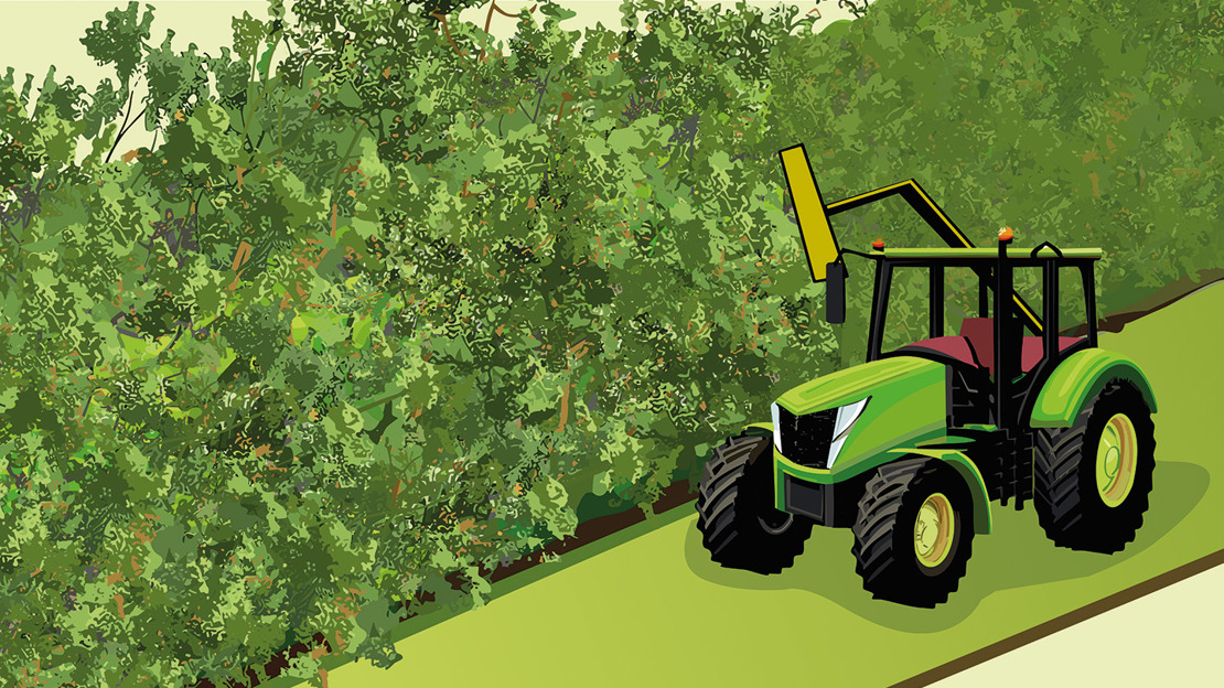 Illustration of a tractor trimming a tall, dense hedge