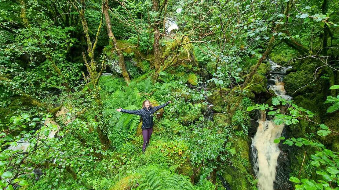 Person surrounded by lush greenery and waterfalls in forest.