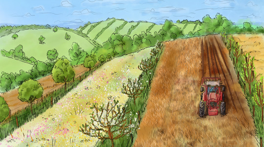 An illustration of a tractor ploughing the land between two rows of trees, next to a wildflower meadow