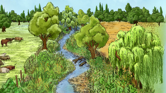 An illustration of a river flowing through a lush farmed landscape, bordered by trees and shrubs