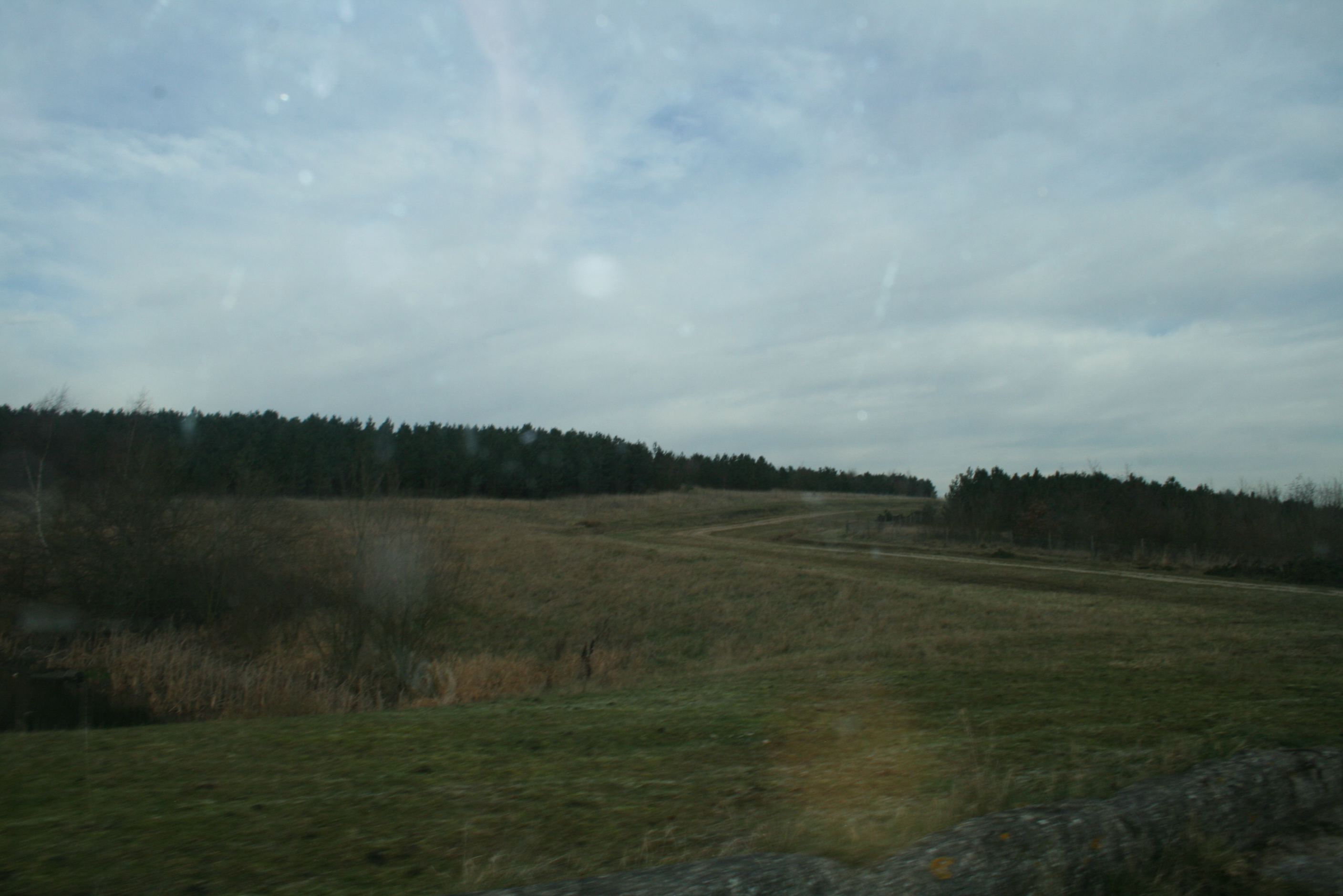 Bevercotes Colliery - Woodland Trust