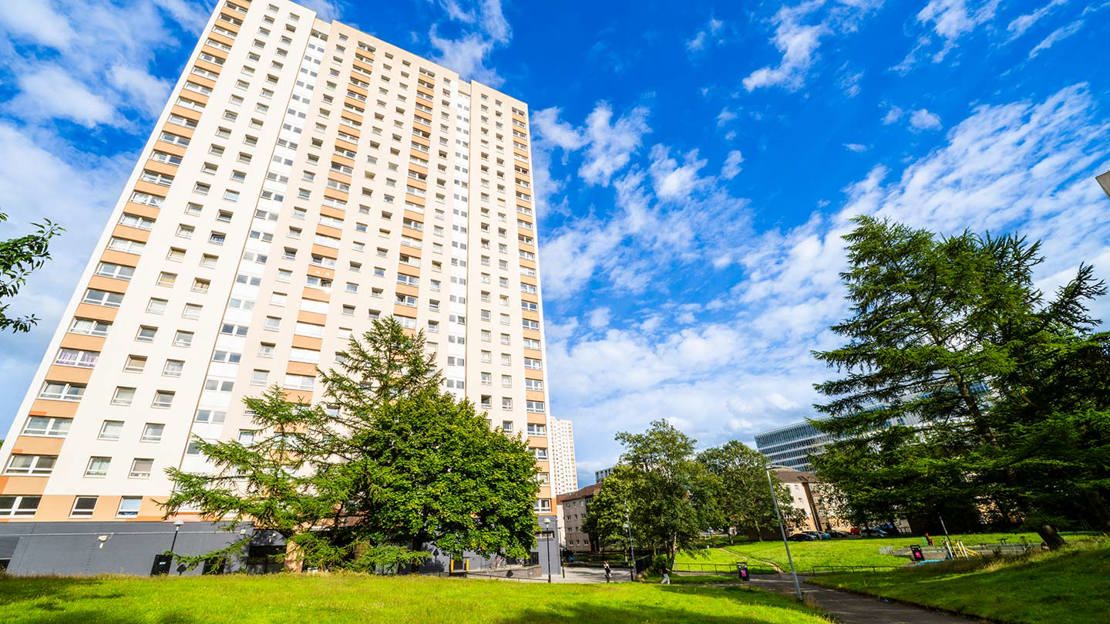 Block of flats towering above urban greenspace with grass and trees.