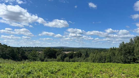 Views over the Sussex High Weald countryside